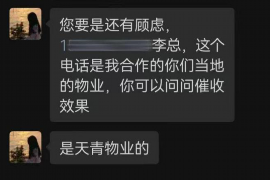 洪泽为什么选择专业追讨公司来处理您的债务纠纷？